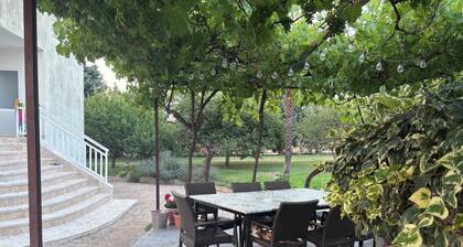 Guesthouse Vionica - Peace & Pool Oasis near Međugorje