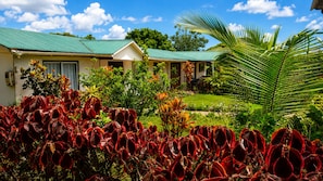 A building with a green roof, surrounded by lush greenery and red-leafed plants.