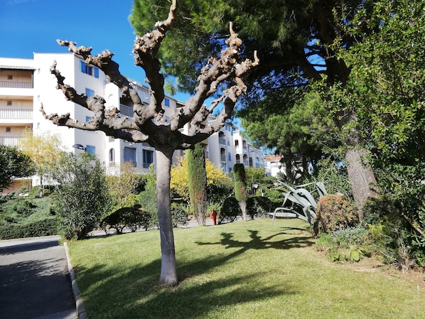 Property grounds - One-bedroom apartment with a pool and a beautiful view (Fréjus)