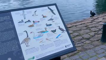 Un panel de identificación de aves en el parque Saltwell.