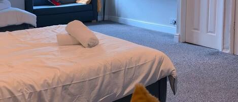 Une chambre avec un lit, une fenêtre avec des rideaux, un téléviseur fixé au mur et une porte.