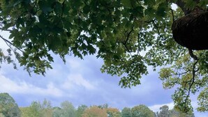 Leilighet, 3 soverom | Diverse