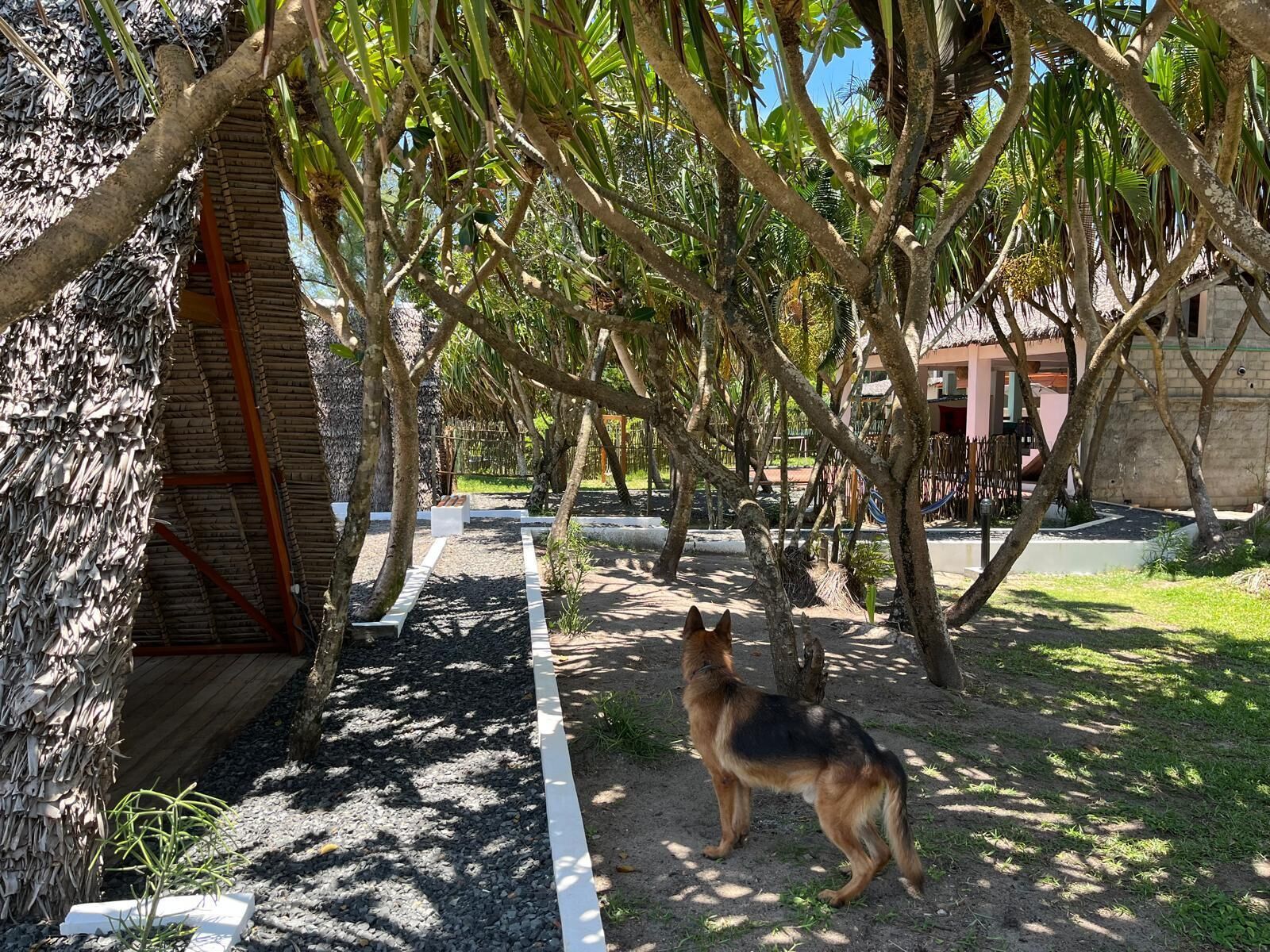 Property grounds