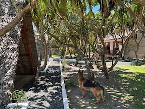 Jardines del alojamiento