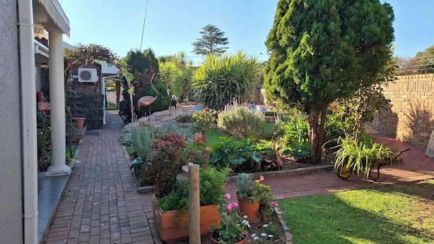 A garden with a paved walkway, various potted plants, a large tree, and a brick wall.