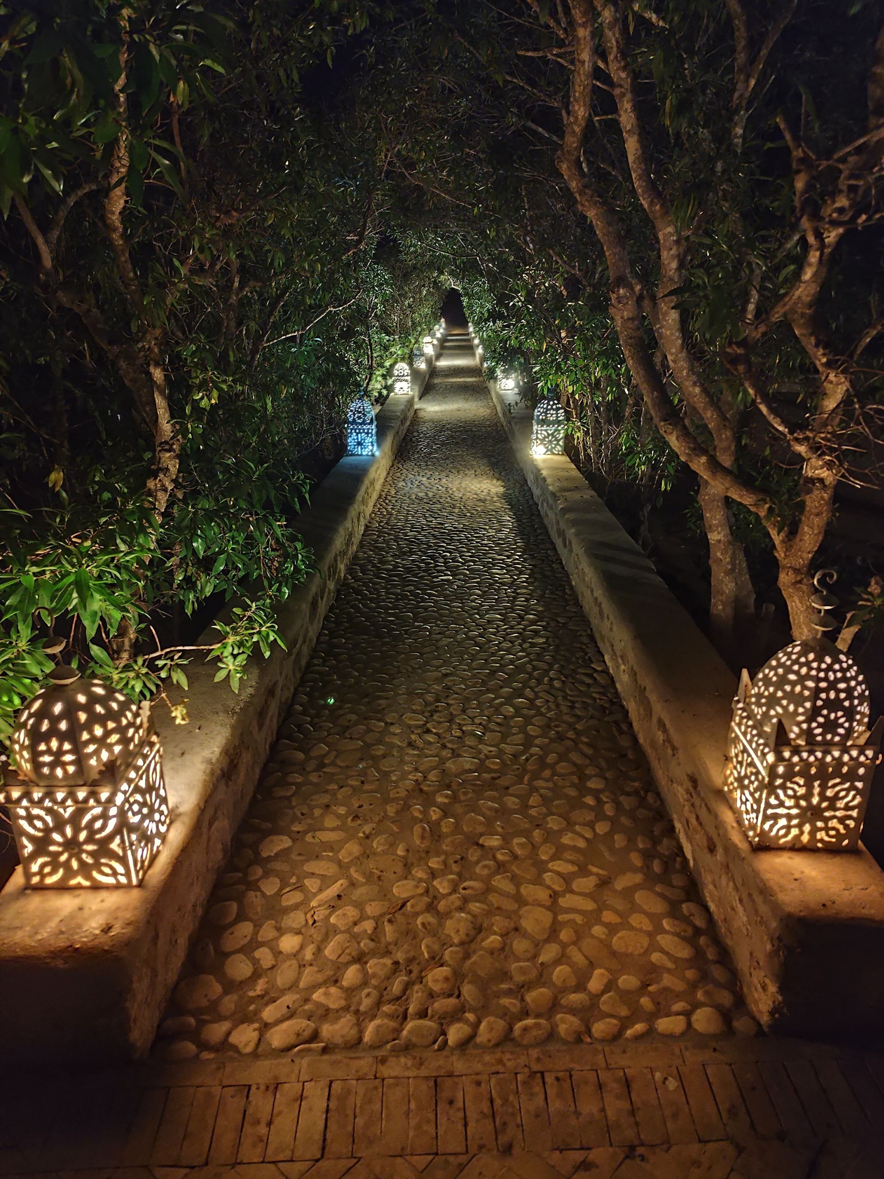 A stone pathway flanked by trees and illuminated by patterned lanterns.