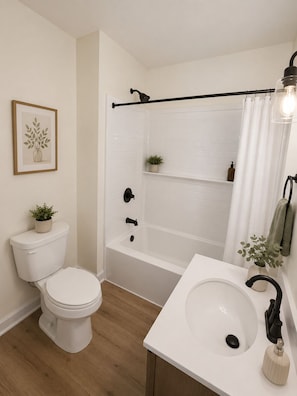 Secadora de cabello, toallas, jabón, papel de baño 