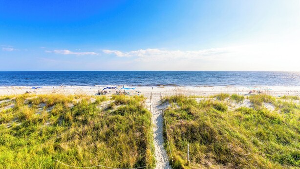 Ein Strand mit blauem Himmel, sandigem Ufer und grünen Dünen.