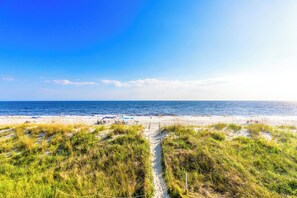 Ein Strand mit blauem Himmel, sandigem Ufer und grünen Dünen.