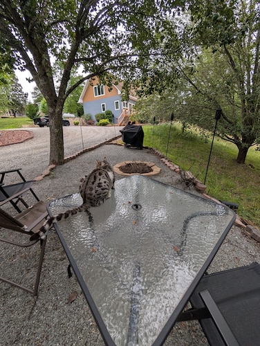 Private Mountain Suite with Queen Bed, Fire Pit, Grill & Peaceful Outdoor Space.