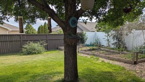 A backyard with a tree, a bird feeder, a raised garden bed, and a wooden planter with flowers.