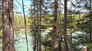A forested area with a wooden deck overlooking a body of water.