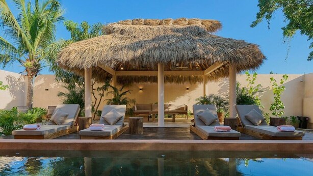 Un espace aménagé au bord de la piscine, avec des chaises longues, une structure à toit de chaume et des palmiers.
