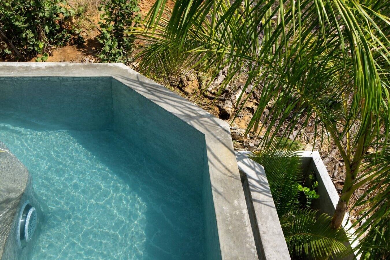 Una piscina cristalina con borde de piedra, rodeada de follaje.