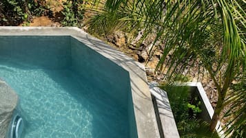 Una piscina cristalina con borde de piedra, rodeada de follaje.