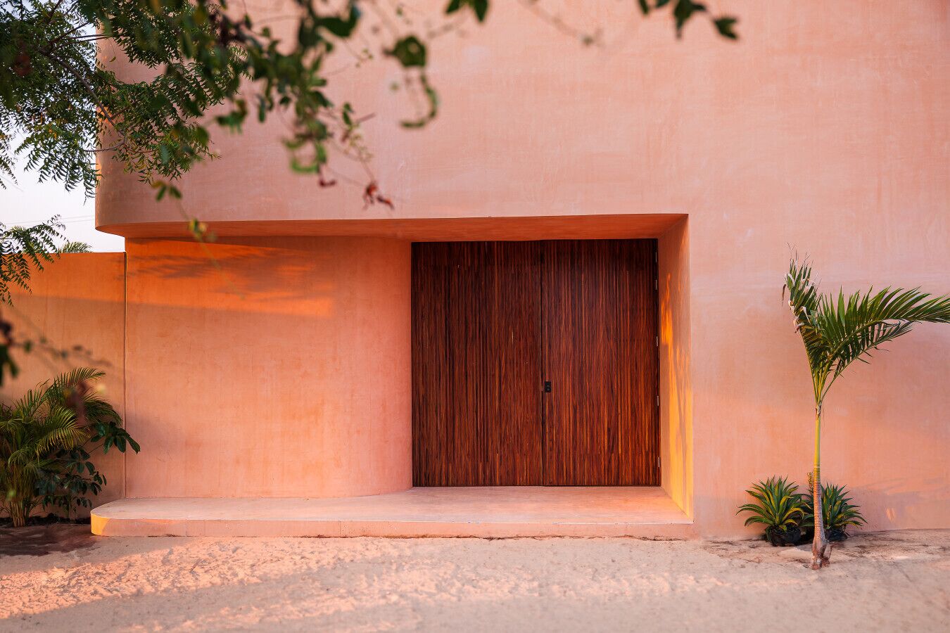 Un edificio moderno con una puerta de madera grande, una plataforma de concreto y plantas en macetas.