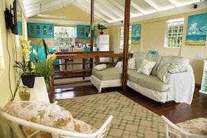 Smart TV - Beach House Steps from Laborie Bay (Laborie)