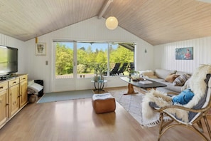 Fernseher, Kamin