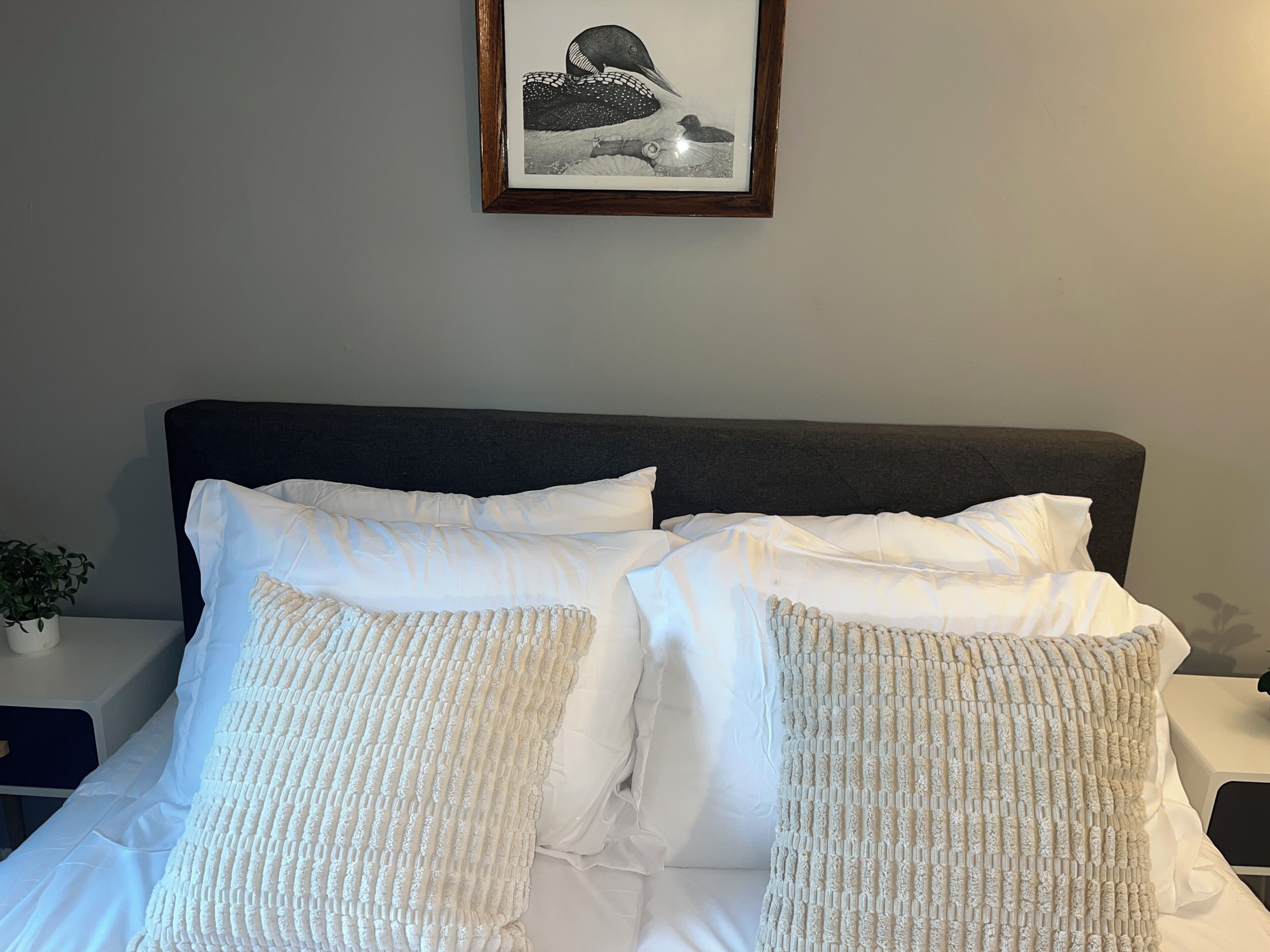 WiFi, bed sheets
