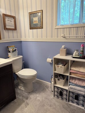 Shower, eco-friendly toiletries, hair dryer, towels - Mossy Mountain Getaway in the peaceful Smokey Mountains  (Murphy)