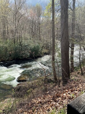 Miscellaneous - Mossy Mountain Getaway in the peaceful Smokey Mountains  (Murphy)