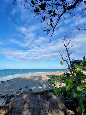 Playa