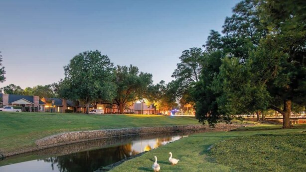 Un parc paisible avec un étang, deux canards et des maisons en arrière-plan.