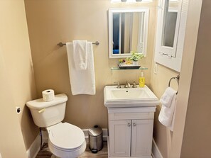 Bathroom - Cozy 1-bedroom cottage in delightful Aiken  you can walk to shops. (Aiken)