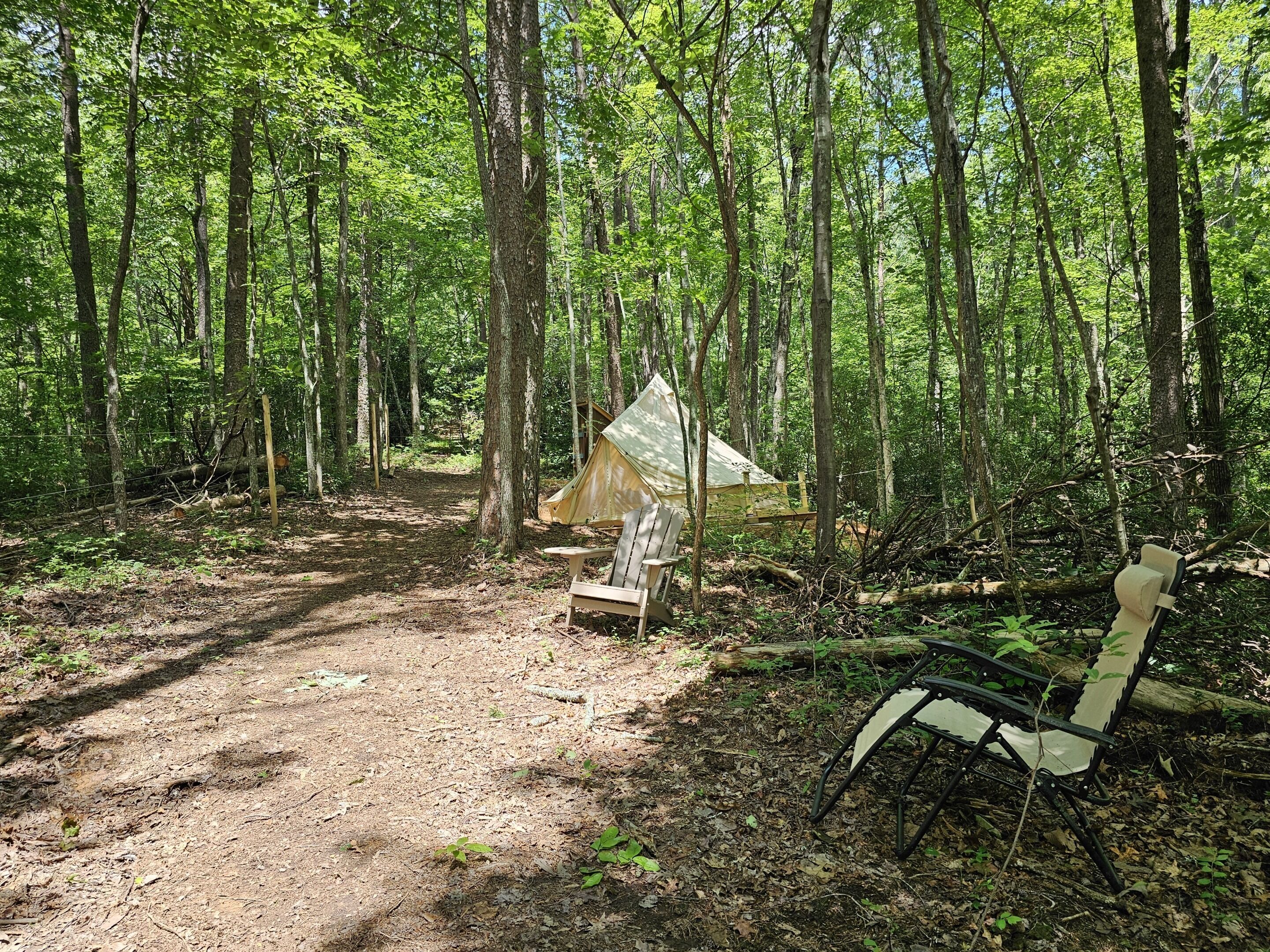 A forest campsite with a tent, a chair, and a path.