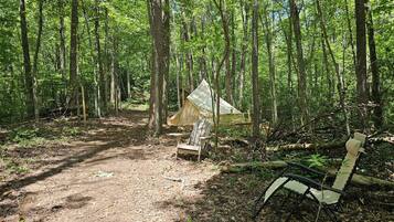 A forest campsite with a tent, a chair, and a path.