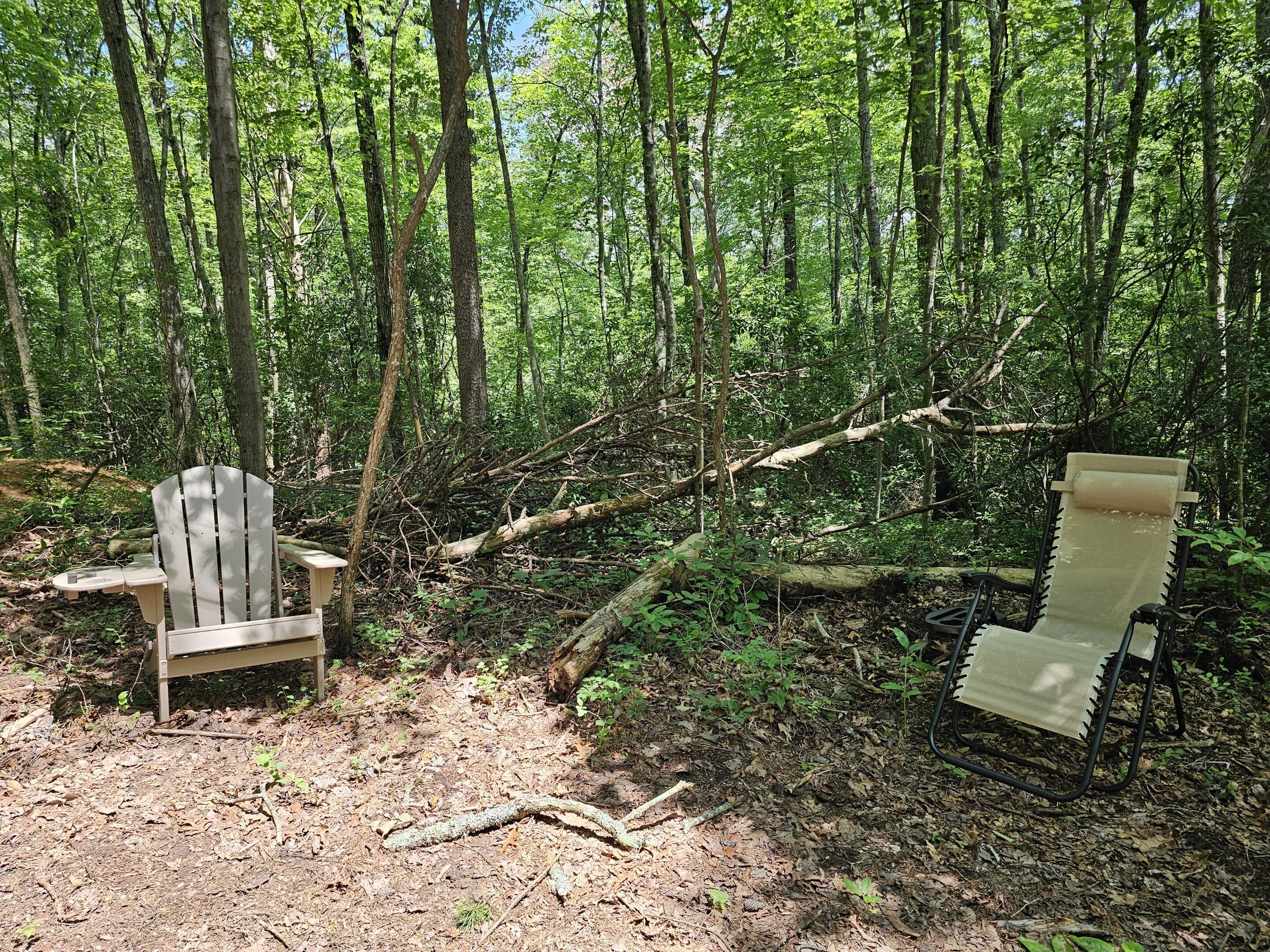 Une zone boisée avec deux chaises en bois et une table, entourée d’arbres et d’une végétation naturelle.