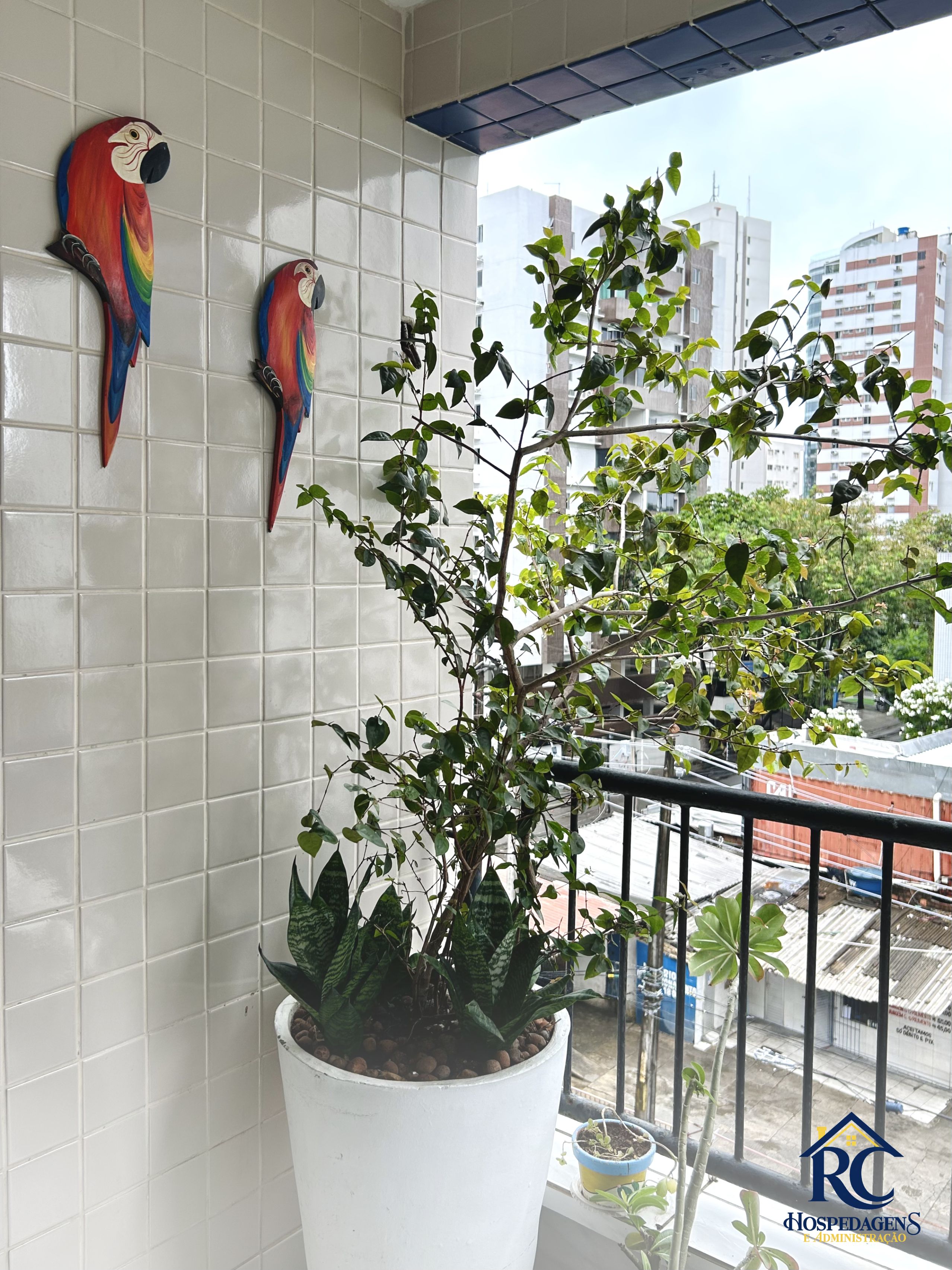 Ein Balkon mit einem Blumentopf und zwei bunten Papagei-Dekorationen an der Wand.