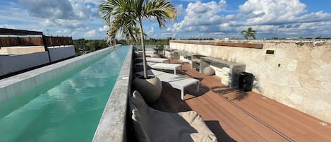 A rooftop pool area with lounge chairs and a palm tree.