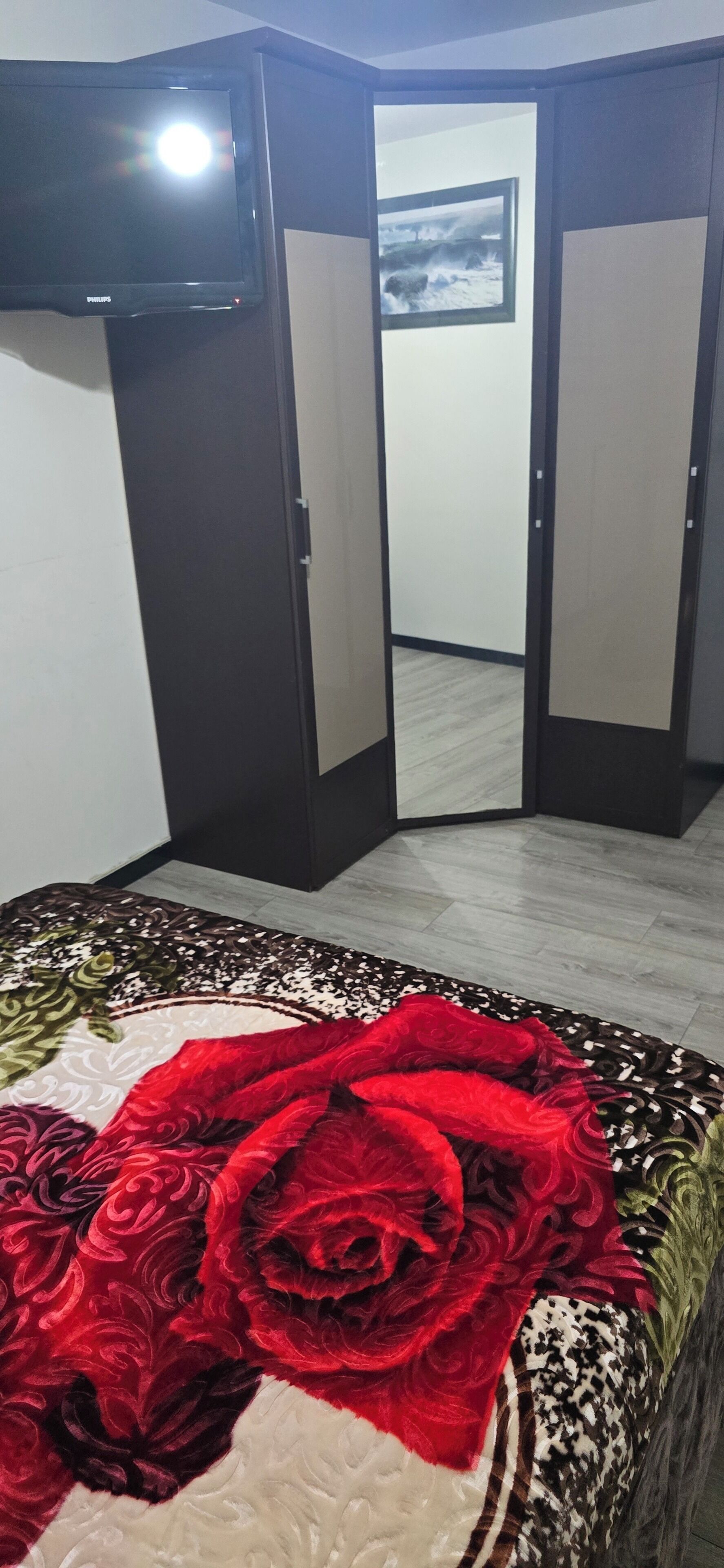 1 chambre, fer et planche à repasser, Wi-Fi