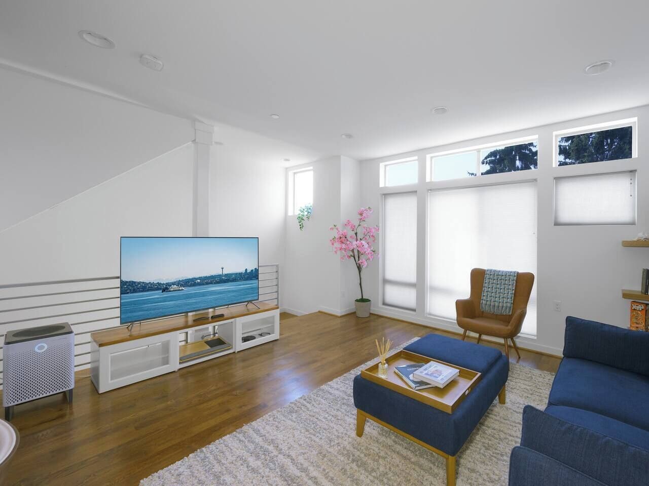TV