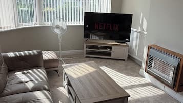 Smart-TV, Kamin