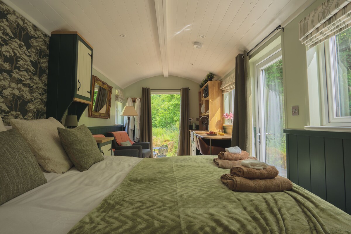 Host profile image