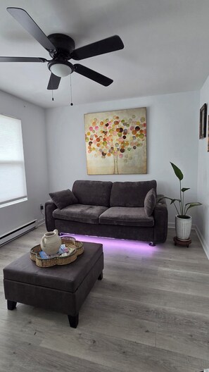 Smart-TV, Kamin