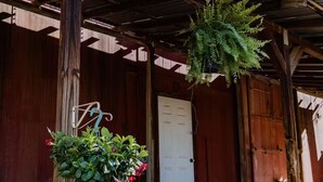 A wooden porch with a hanging fern, a potted plant with red flowers, and a white door.