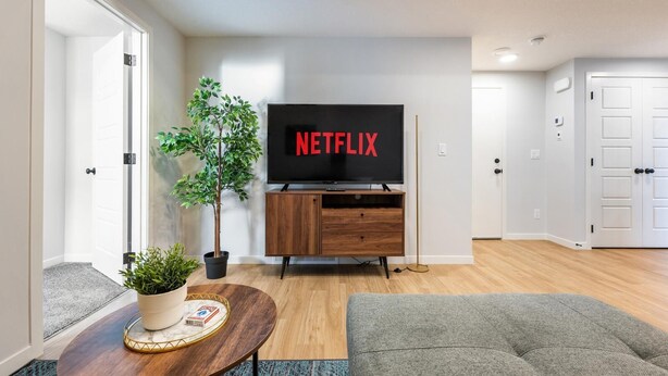 Una sala de estar moderna con un televisor de pantalla plana mostrando 'NETFLIX', un mueble de entretenimiento de madera, una planta en maceta y un sofá gris.