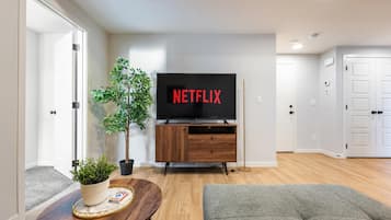 A modern living room with a flat-screen TV displaying 'NETFLIX,' a wooden entertainment center, a potted plant, and a grey sofa.