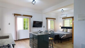 A compact room with a kitchen area, a dining table with chairs, a bed, and a television mounted on the wall. - Green Valley Luxe | Modern Studio Style Apartment with Verandah (Kingstown)