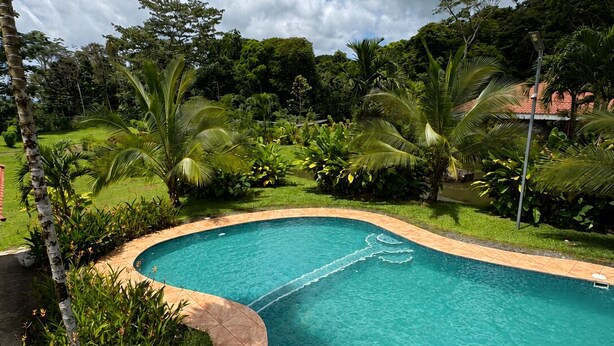 Una piscina rodeada de exuberante vegetación y un cielo azul despejado.