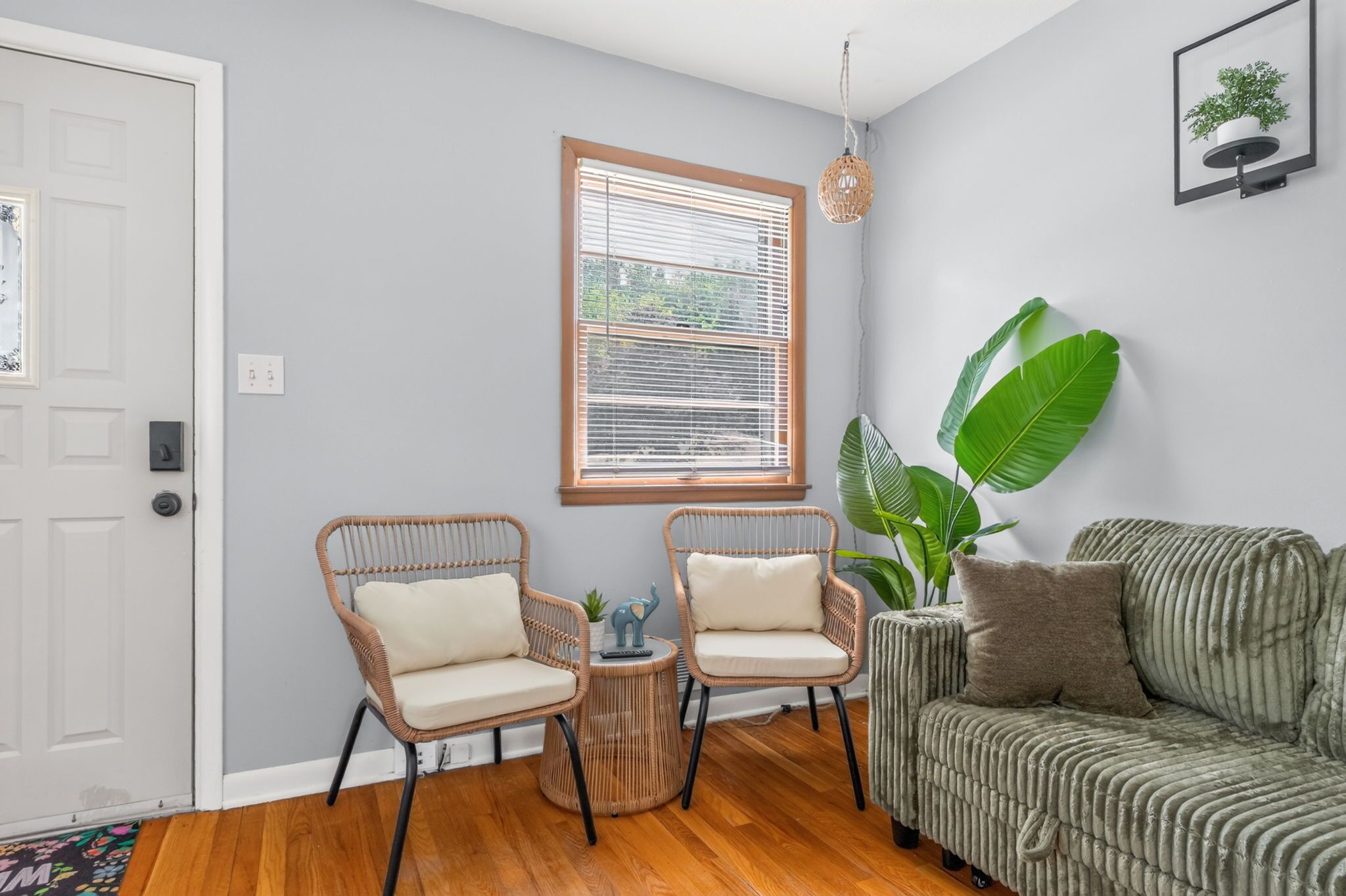 A room with a grey wall, a wooden floor, two wicker chairs with cushions, a green sofa, a large plant, and a window with blinds.