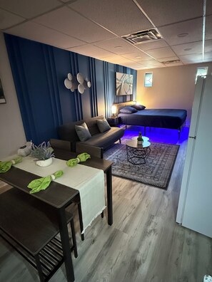 1 bedroom, iron/ironing board, WiFi - -Leo's Cozy STUDIO- in.family.Home.Main.level (Dallas)