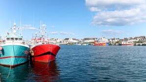 En havn med flere både i havnen, en klar himmel og bygninger i baggrunden.