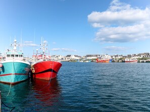 Ein Hafen mit mehreren vertäuten Booten, blauem Himmel und Gebäuden im Hintergrund.