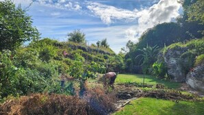 Un jardín con diversas plantas y una persona cuidándolas.