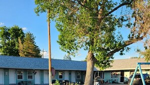 A grassy area with a swing set, a tree, and a building with a blue roof in the background.