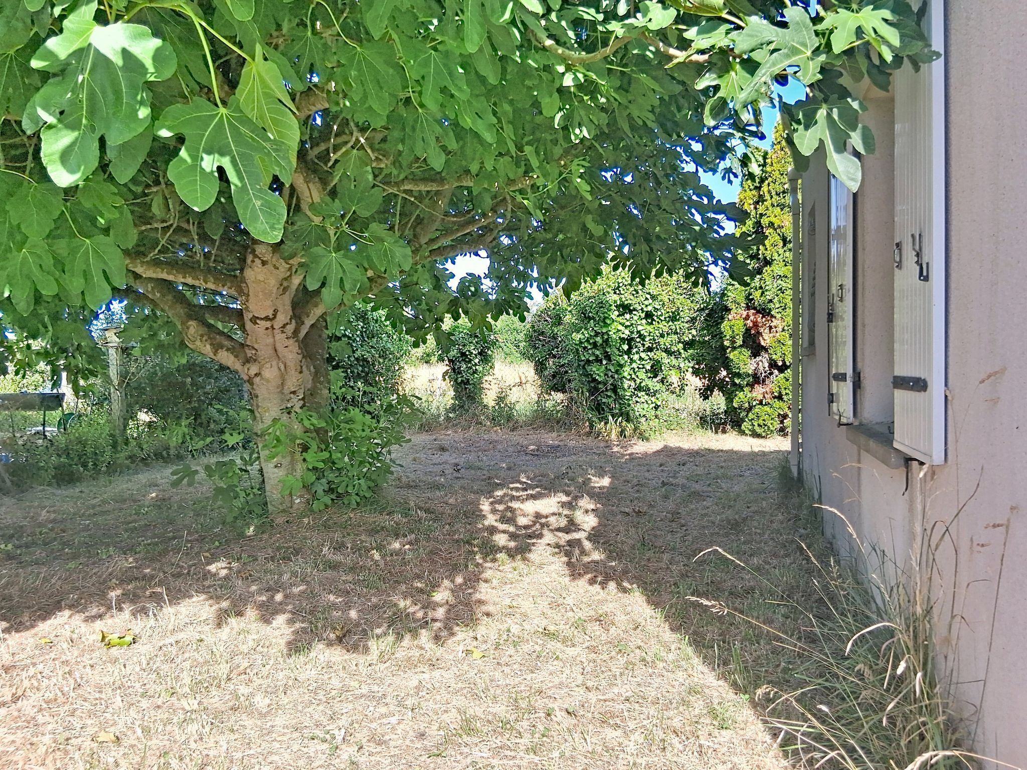 Ein Weg führt zu einem Gebäude, das von einem Baum beschattet wird.